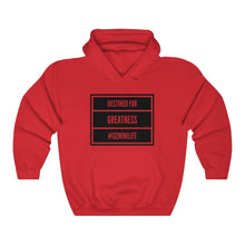 Load image into Gallery viewer, Gemini - Greatness Hooded Sweatshirt
