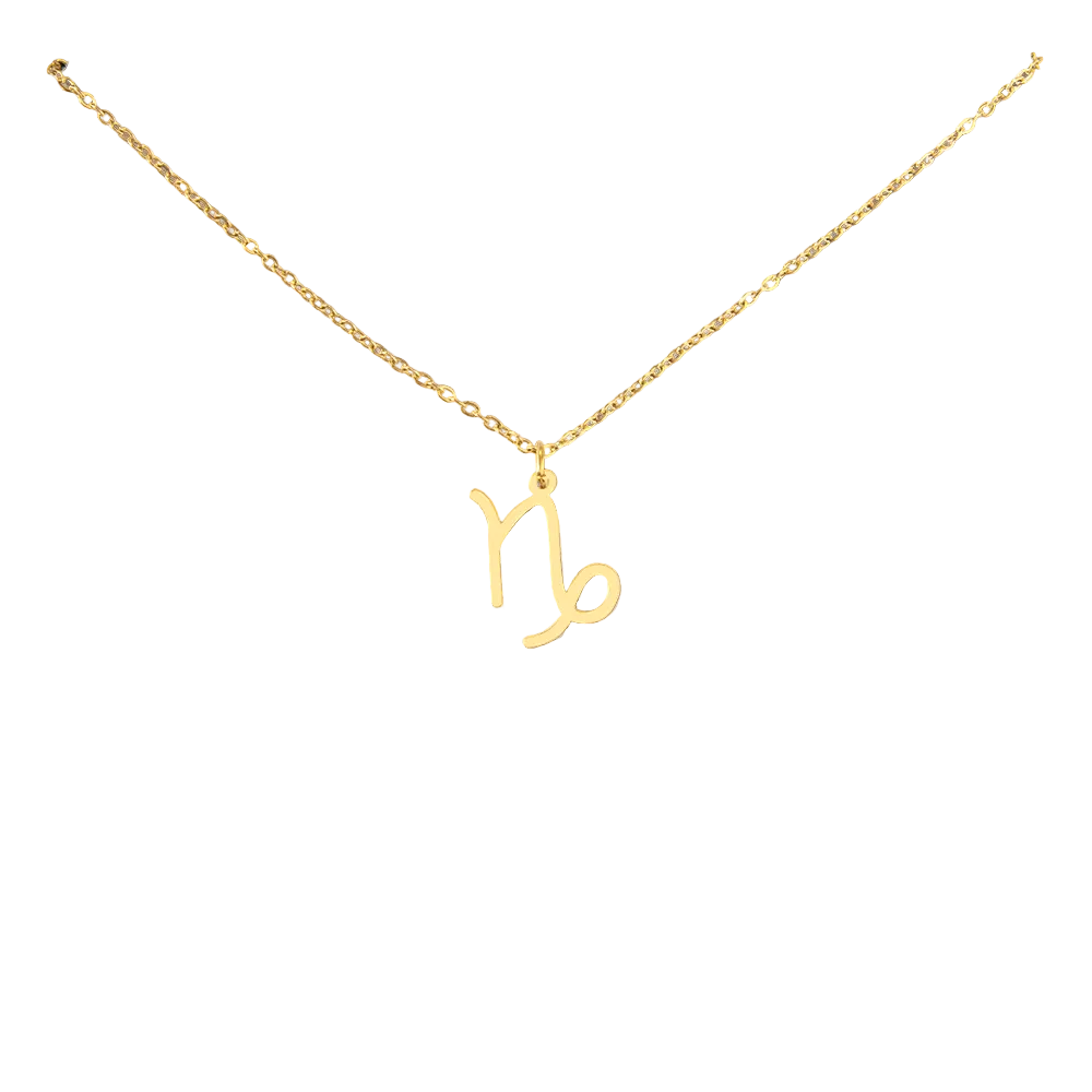 Capricorn Zodiac Necklace