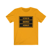 Load image into Gallery viewer, Gemini - Greatness Tee

